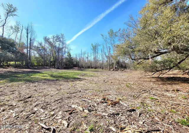 2nd image of Tbd Highway 90, Sneads, FL 32460 | MLS# 785462