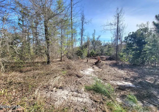 3rd image of Tbd Highway 90, Sneads, FL 32460 | MLS# 785462
