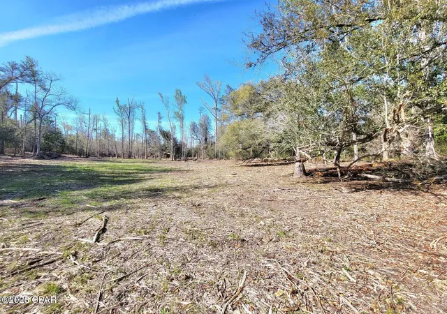 4th image of Tbd Highway 90, Sneads, FL 32460 | MLS# 785462
