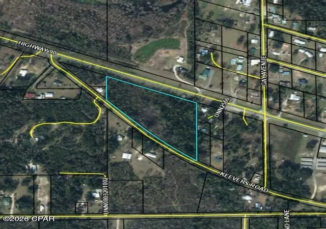 5th image of Tbd Highway 90, Sneads, FL 32460 | MLS# 785462