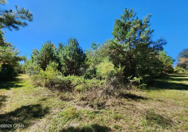 1st image of 000 Pineridge Church Rd, Marianna, FL 32448 | MLS# 785574