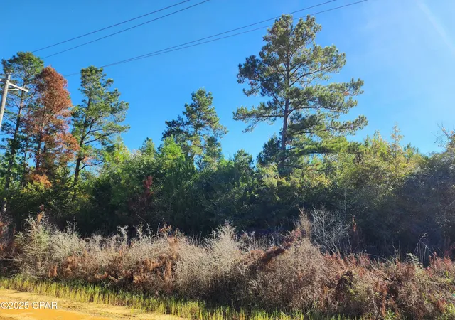 2nd image of 000 Pineridge Church Rd, Marianna, FL 32448 | MLS# 785574