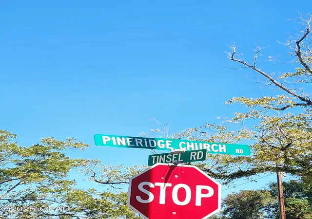 33rd image of 000 Pineridge Church Rd, Marianna, FL 32448 | MLS# 785574