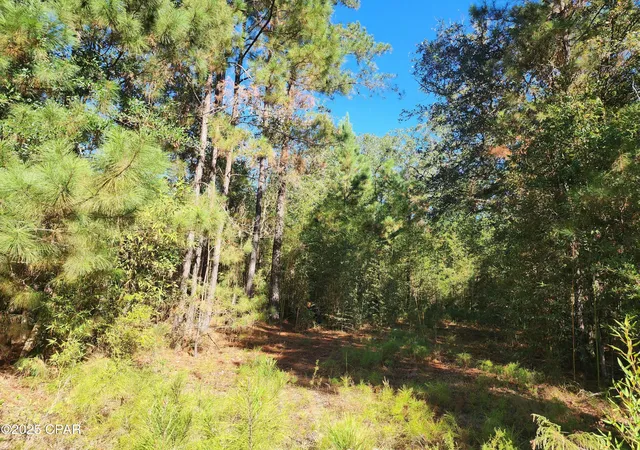 3rd image of 000 Pineridge Church Rd, Marianna, FL 32448 | MLS# 785574