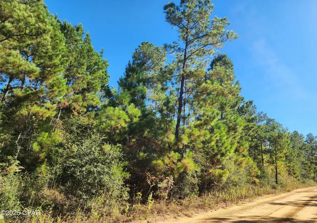 4th image of 000 Pineridge Church Rd, Marianna, FL 32448 | MLS# 785574