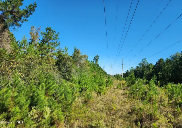 5th image of 000 Pineridge Church Rd, Marianna, FL 32448 | MLS# 785574