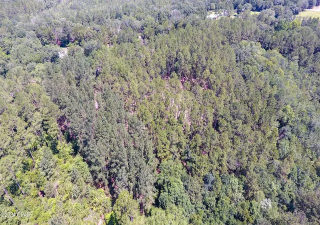 9th image of Tbd Hwy 177a #22, Bonifay, FL 32425 | MLS# 785716