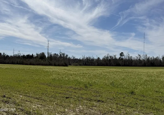 3rd image of 0 New Hope Rd, Marianna, FL 32448 | MLS# 785731