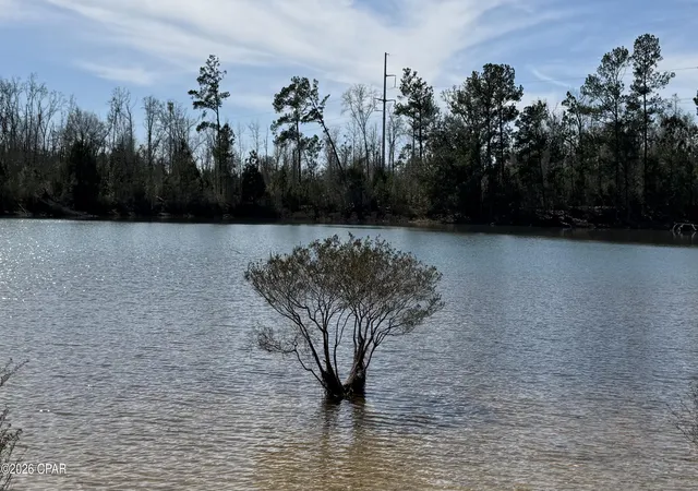 1st image of 00 New Hope Rd, Marianna, FL 32448 | MLS# 785839