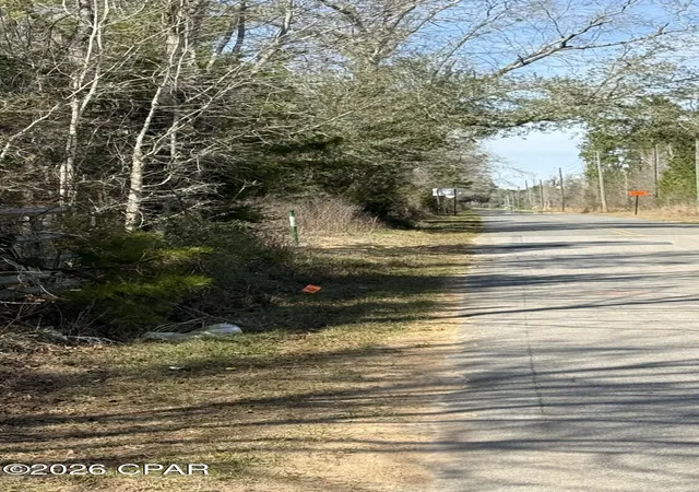 2nd image of 00 New Hope Rd, Marianna, FL 32448 | MLS# 785839