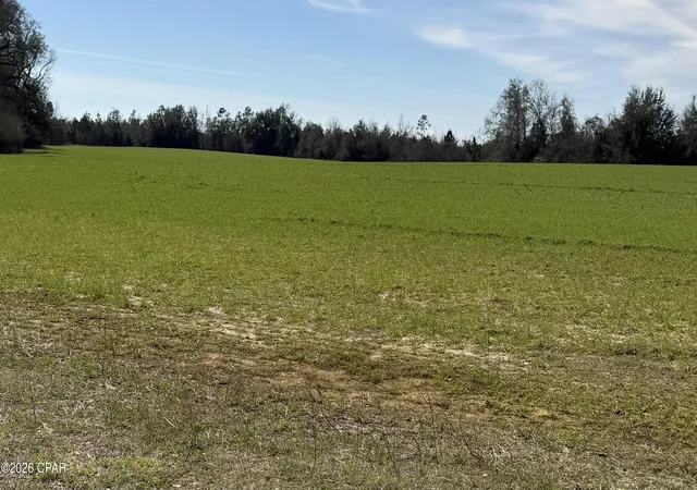 Photo 2 of Land for sale at 3790 Kynesville Rd, Marianna, FL 32448 | MLS# 785857 | Listing updated on 2026-05-30
