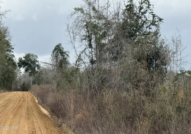 1st image of 0000 Christmas Rd, Campbellton, FL 32426 | MLS# 785887