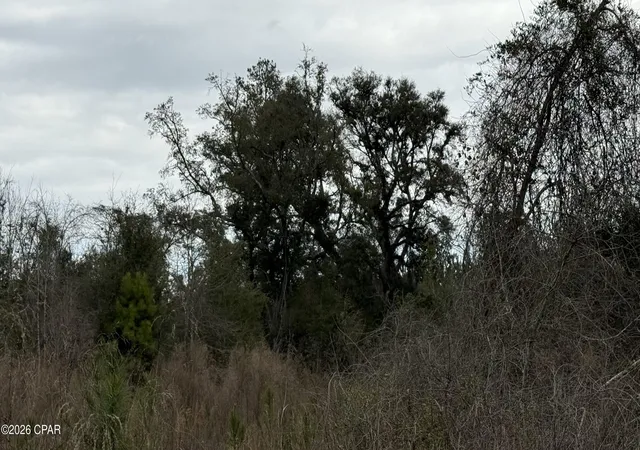 3rd image of 0000 Christmas Rd, Campbellton, FL 32426 | MLS# 785887