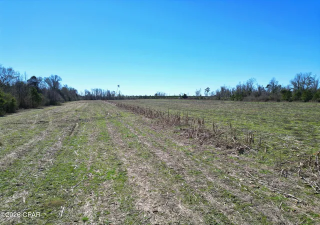 10th image of Tbd Sw Cr 275 Abe Springs, Blountstown, FL 32424 | MLS# 785965