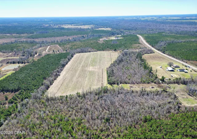 5th image of Tbd Sw Cr 275 Abe Springs, Blountstown, FL 32424 | MLS# 785965