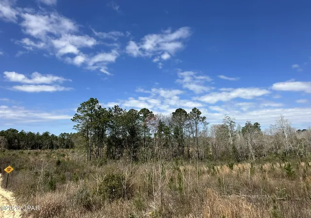 Homes for sale in Caryville, FL | Tract#6409 Davis Road River Road, Caryville, FL 32427 | MLS# 786193