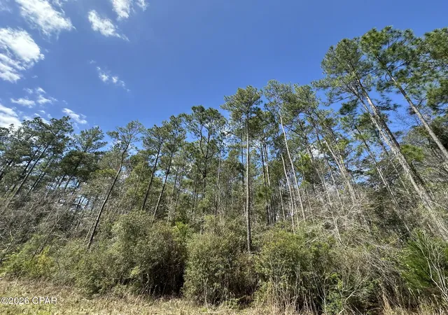 Homes for sale in Caryville, FL | Tract#6409 Davis Road River Road, Caryville, FL 32427 | MLS# 786193