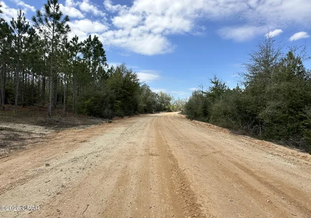 Homes for sale in Caryville, FL | Tract 6418 S Mattox Springs Rd #1, Caryville, FL 32427 | MLS# 786201