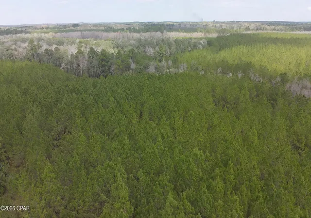 Homes for sale in Caryville, FL | Tract 6418 S Mattox Springs Rd #1, Caryville, FL 32427 | MLS# 786201