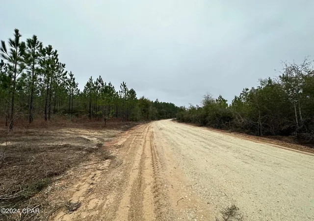 Homes for sale in Caryville, FL | Tract 6418 S Mattox Springs Rd #4, Caryville, FL 32427 | MLS# 786202