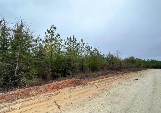 Homes for sale in Caryville, FL | Tract 6418 S Mattox Springs Rd #4, Caryville, FL 32427 | MLS# 786202