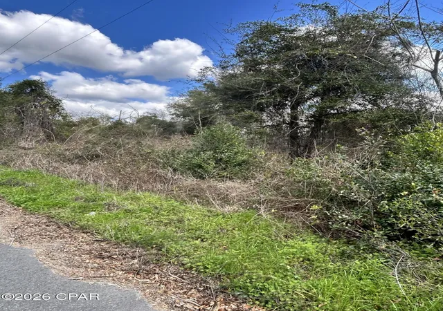 Homes for sale in Cottondale, FL | 00 London Rd, Cottondale, FL 32431 | MLS# 786268