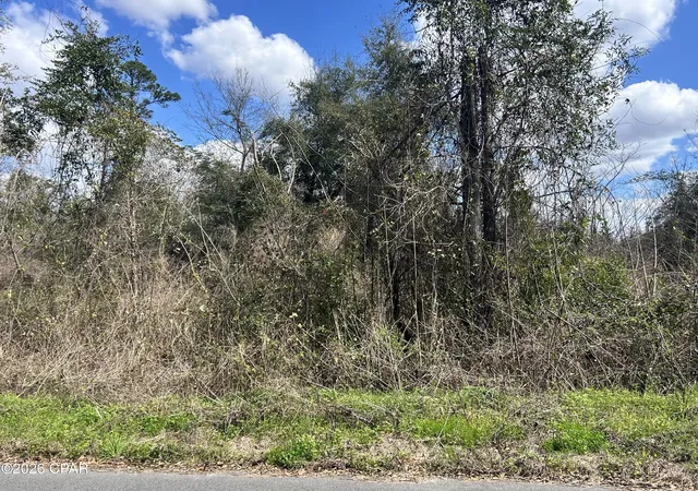 Homes for sale in Cottondale, FL | 00 London Rd, Cottondale, FL 32431 | MLS# 786268