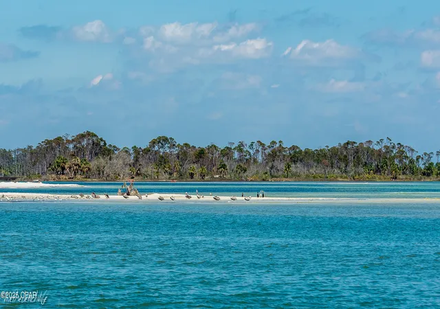 32nd image of Lot 1 Park Point Cir, Port St Joe, FL 32456 | MLS# 786278