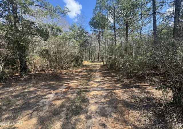 Homes for sale in Westville, FL | 1285 Hwy 179a, Westville, FL 32464 | MLS# 786449
