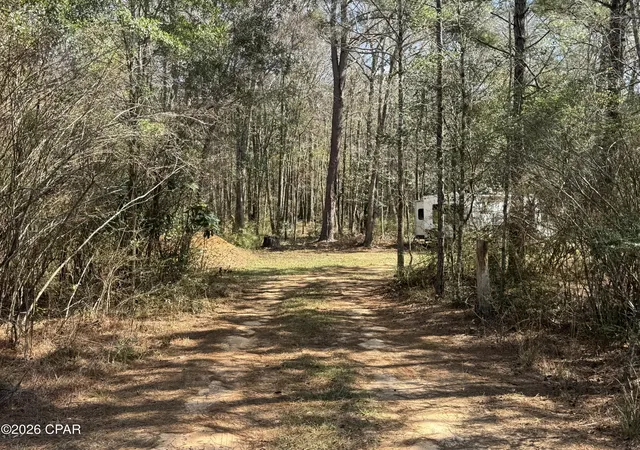 Homes for sale in Westville, FL | 1285 Hwy 179A, Westville, FL 32464 | MLS# 786449
