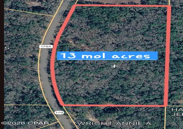 Homes for sale in Westville, FL | 1285 Hwy 179A, Westville, FL 32464 | MLS# 786449