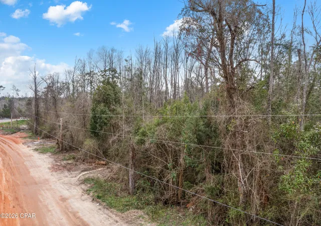 7th image of Tbd Florida 73, Marianna, FL 32448 | MLS# 786461