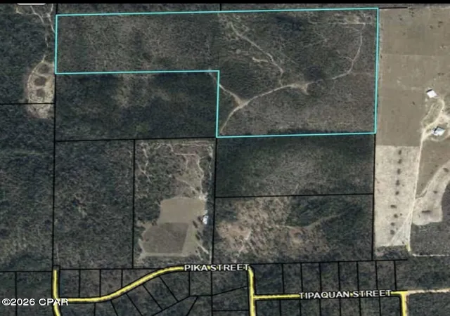 4th image of 00 Tipaquan St, Marianna, FL 32448 | MLS# 786491