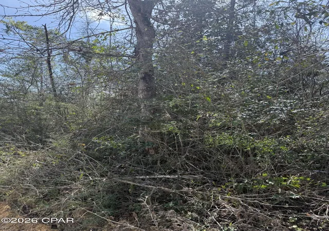 1st image of 00 Mount Ararat Rd, Marianna, FL 32448 | MLS# 786535