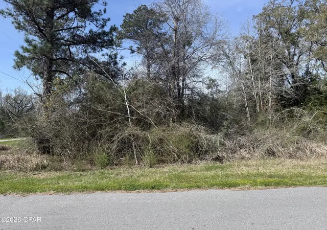 1st image of 00 New Salem Rd, Marianna, FL 32448 | MLS# 786536