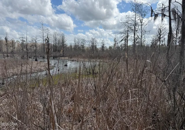 1st image of 000 Neel Rd, Grand Ridge, FL 32442 | MLS# 786574