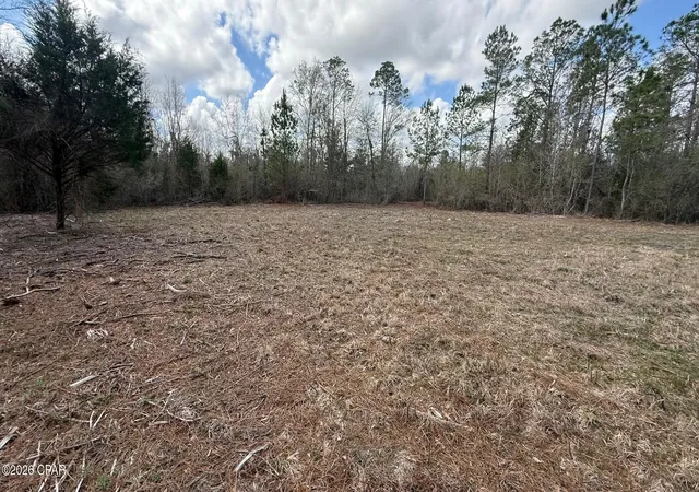 2nd image of 000 Neel Rd, Grand Ridge, FL 32442 | MLS# 786574