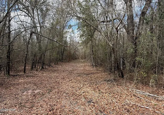 3rd image of 000 Neel Rd, Grand Ridge, FL 32442 | MLS# 786574