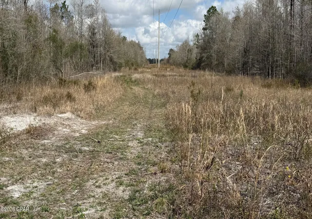 4th image of 000 Neel Rd, Grand Ridge, FL 32442 | MLS# 786574