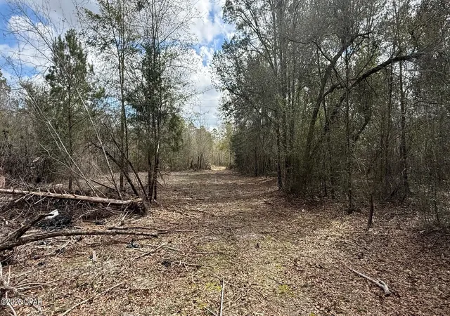 5th image of 000 Neel Rd, Grand Ridge, FL 32442 | MLS# 786574