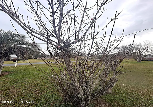 43rd image of 4642 River Dr, Marianna, FL 32446 | MLS# 786760