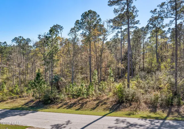 Homes for sale in Chipley, FL | Xxx Pine Bluff Dr, Chipley, FL 32428 | MLS# 786823