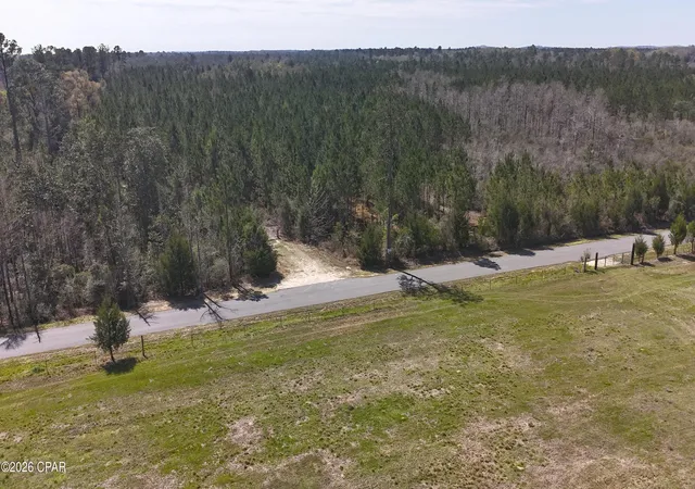 Homes for sale in Caryville, FL | Tract6416 N Brock Rd #N40, Caryville, FL 32427 | MLS# 786870