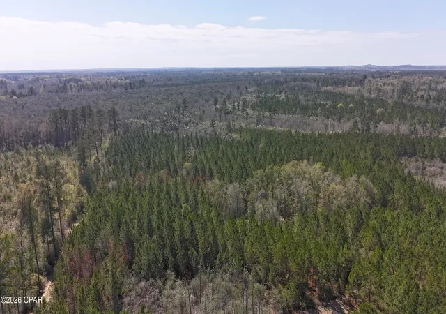 Homes for sale in Caryville, FL | Tract6416 N Brock Rd #N40, Caryville, FL 32427 | MLS# 786870