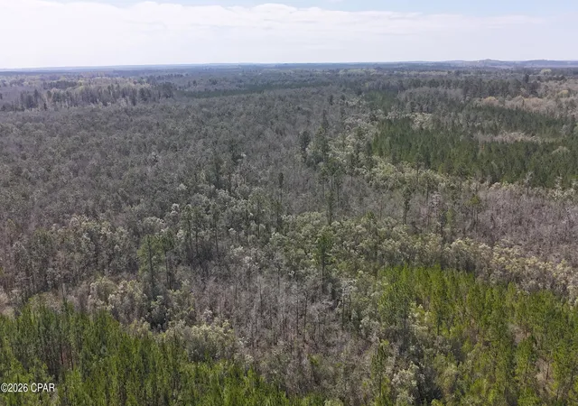 Homes for sale in Caryville, FL | Tract6416 N Brock Rd #N40, Caryville, FL 32427 | MLS# 786870