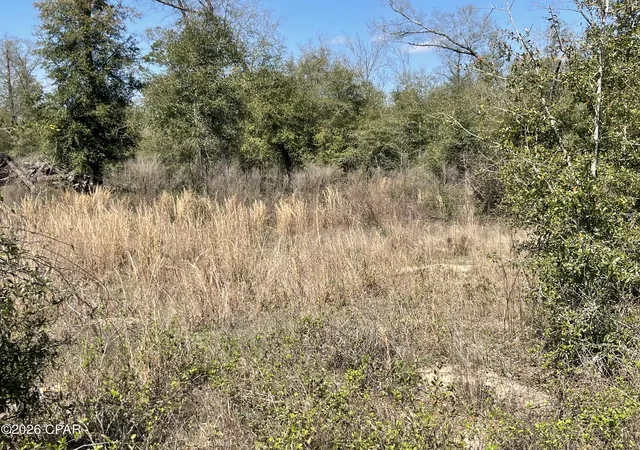 Homes for sale in Bascom, FL | 0 Speights Wy, Bascom, FL 32423 | MLS# 786914