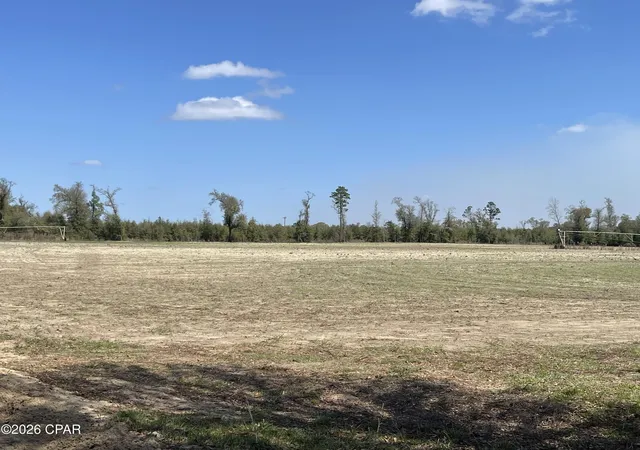 Homes for sale in Bascom, FL | 0 Speights Wy, Bascom, FL 32423 | MLS# 786914