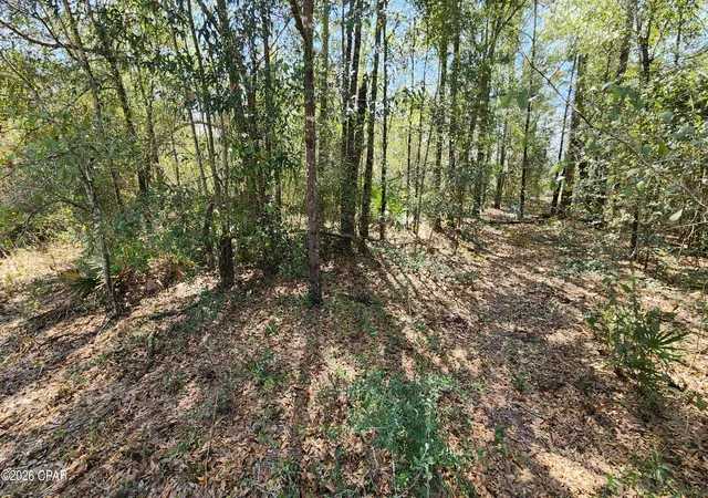 Photo 2 of Land for sale at 000 Edgewood Rd, Fountain, FL 32438 | MLS# 787044 | Listing updated on 2026-09-27