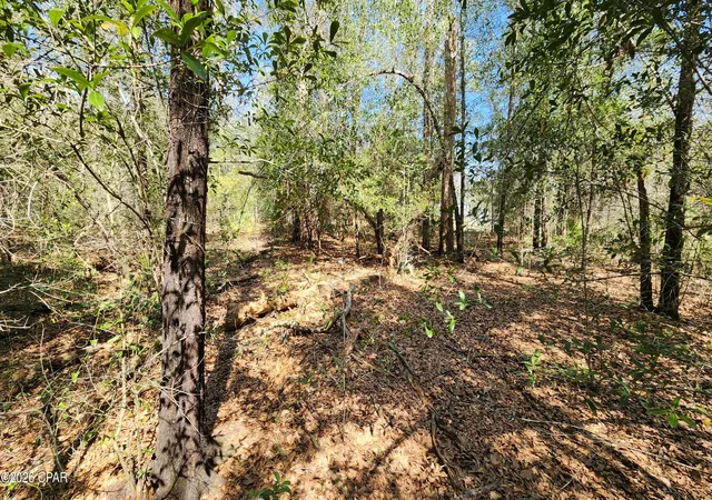 Photo 3 of Land for sale at 000 Edgewood Rd, Fountain, FL 32438 | MLS# 787044 | Listing updated on 2026-09-27