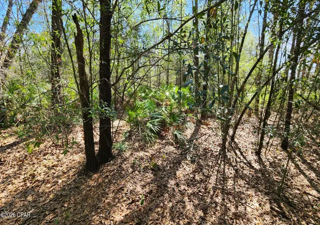 Photo 4 of Land for sale at 000 Edgewood Rd, Fountain, FL 32438 | MLS# 787044 | Listing updated on 2026-09-27